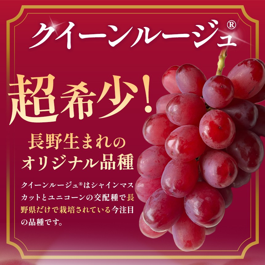 クインルージュ® と シャインマスカット 各1房 約1kg 【2026年先行予約】 | ヤマモ農園 果物 ぶどう 葡萄 シャインマスカット クインルージュ フルーツ デザート 食後 おやつ 果汁 皮ごと 日本産 国産 産地直送 長野県 松川村 信州