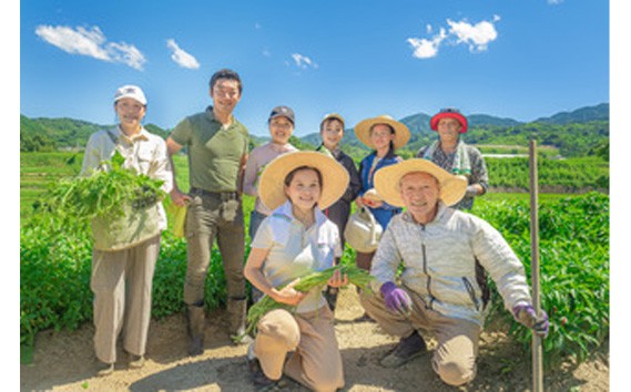 河南町新鮮アジア野菜「大満足セット」 ／ 唐辛子 パクチー バジル 大阪府 No.334 野菜セット 大満足 新鮮 香り 空芯菜  料理素材 食卓アレンジ 詰め合わせ 多彩 お取り寄せ
