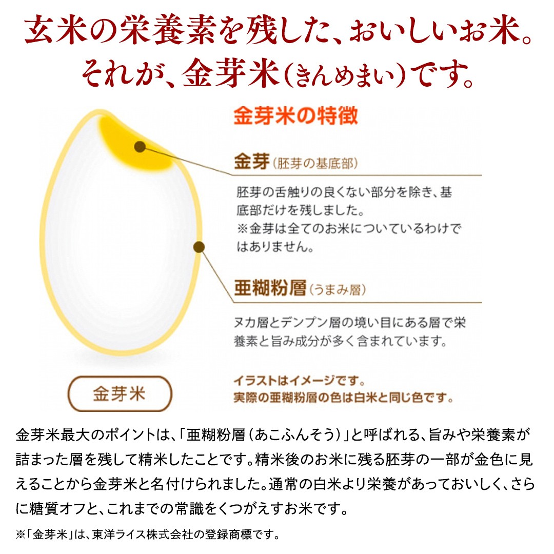 【 金芽米 】 ＜6月下期発送＞ つくばみらい市産 コシヒカリ 5kg × 2袋 ( 計 10kg ) 金芽米 きんめまい 米 お米 無洗米 茨城県 カロリーオフ 低カロリー 東洋ライス 節水 時短 アウトドア キャンプ
