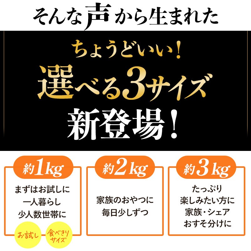 せとか（3kg） [K003710K3] 人気商品 国産 高級フルーツ 人気商品 みかん 柑橘 フルーツ 果物 乃万青果 のま果樹園 せとか 高級柑橘