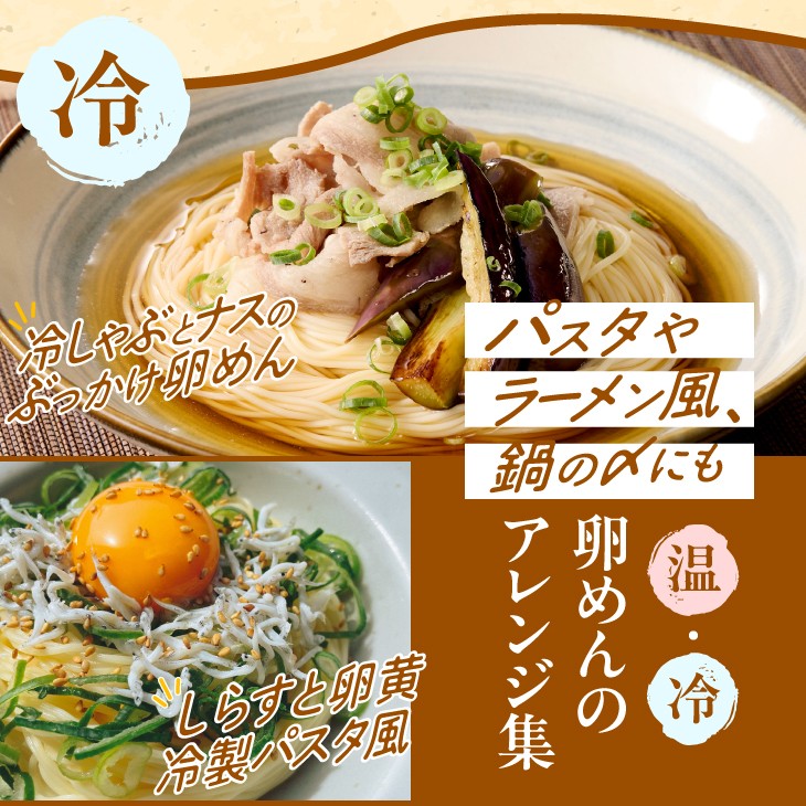 45人前！ 卵香るそうめん 「卵めん」 500g×9袋 無添加 岩手名産 素麺 のし対応 [K0026]