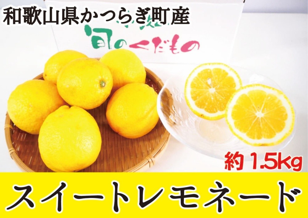 酸味を包む、やわらかな甘さ　スイートレモネード 約1.5kg 10玉前後【2026年12月中旬～2027年1月中旬】/レモン スイートレモネード 柑橘 フルーツ 果物 美味しい おいしい 和歌山県 かつらぎ町 送料無料【A-frks189】