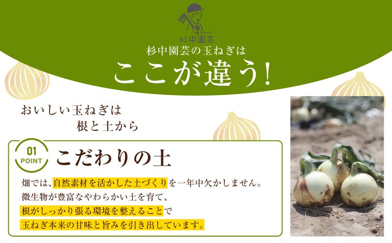 口に広がる優しい甘さの玉ねぎ ～真玉～　5kg(箱の重さ込み）・S097
