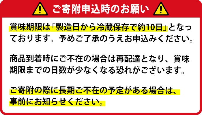 No.1007-A 伊集院饅頭(10個) 伊集院銘菓 日置市 セット 和菓子 スイーツ 郷土菓子 お菓子 ギフト 贈答品 贈り物 【山口菓子舗】