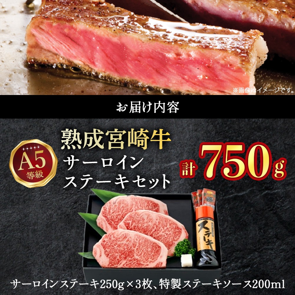 【人気鉄板焼き店厳選】熟成宮崎牛A5等級サーロインステーキセット　750ｇ オリジナルソース付き（国産 牛肉 黒毛和牛 宮崎牛 焼肉 ステーキ 霜降りサーロイン 特製タレ付き）