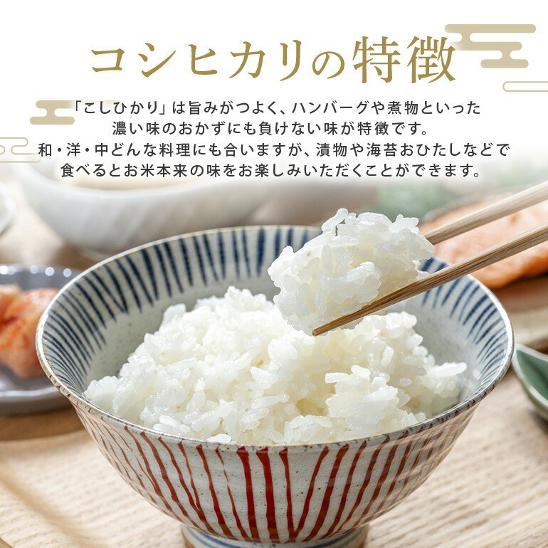 常陸大宮産 コシヒカリ 5kg 米 お米 こめ コメ コシヒカリ こしひかり 茨城 ブランド米 白米 精米 ご飯 国産米 贈答用  【一般財団法人常陸大宮市観光物産協会】【ho1396】