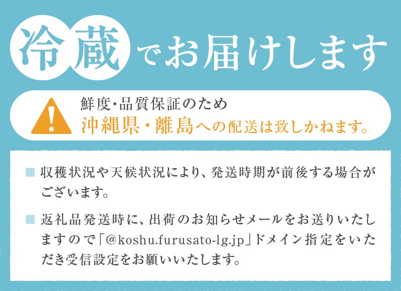 甲州市産 種無し大粒ピオーネ1房入り 約550g 自然農法【2026年発送】（BNC）B15-491 【ピオーネ ぶどう 葡萄 ブドウ 種なし 令和8年発送 期間限定 山梨県産 甲州市 フルーツ 果物】