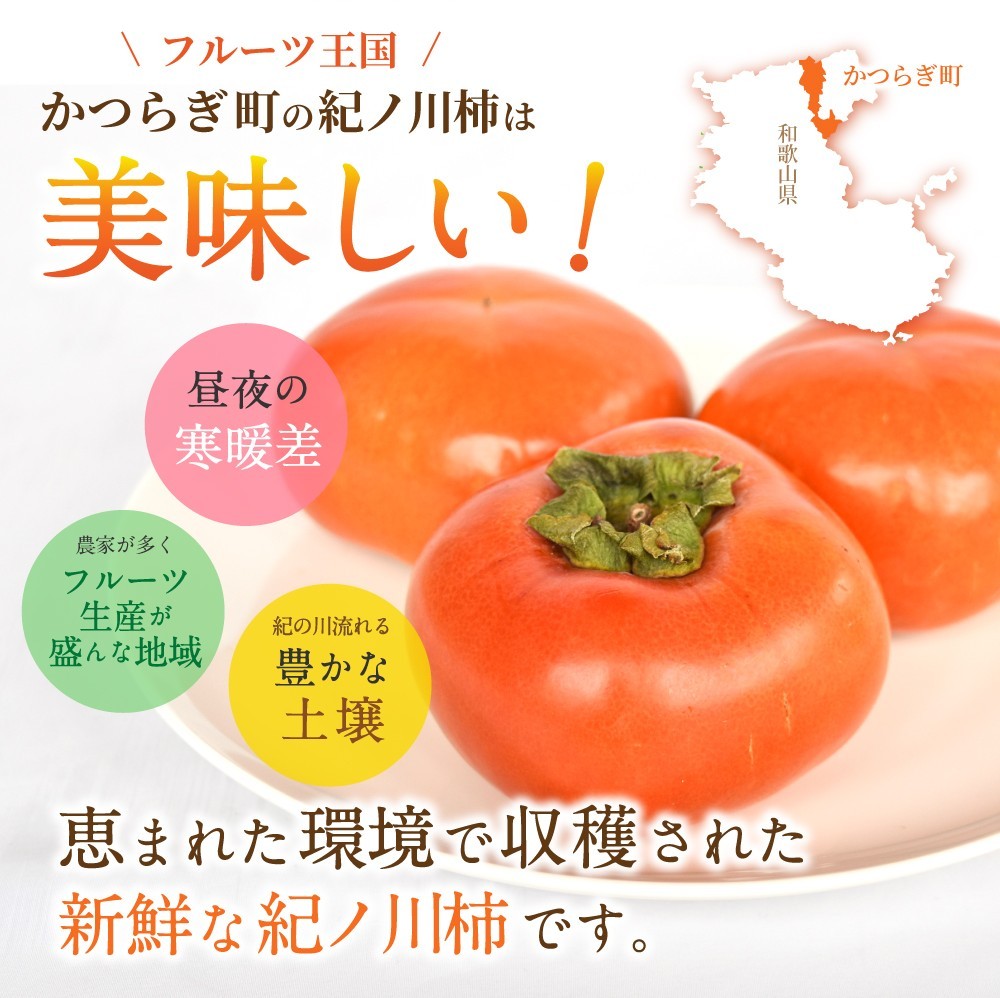 【先行予約】紀の川柿 （果実の中身が黒い！黒蜜柿）希少栽培！ 秀品６個～９個 こだわり農家厳選！【2026年10月上旬から11月上旬頃発送】/ 和歌山県 かつらぎ町 カキ 柿 紀ノ川柿 秀品 紀の川柿 かき フルーツ 旬 秋【kgr044】