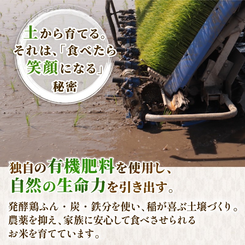 令和8年産 こしいぶき 20kg 5kg 4袋 新潟 越後の新しい息吹 先行予約 新米 コシヒカリ の遺伝子を引き継ぐ 米 おこめ お米 ご飯 ごはん オニギリ お弁当 kome 送料無料 数量限定 農家直送 産地直送 国産 川瀬農園 四代目 悠助 新潟 新発田 kwsKI007_202609
