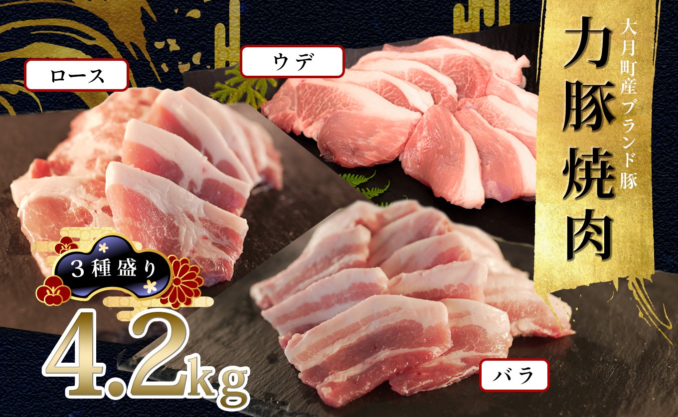 国産 豚肉 焼肉 3種盛 4.2kgセット|バラ1.2kg (300g×4P) ウデ1.2kg (200g×6P) ロース1.8kg (200g×9P) 力豚 小分け ブランド豚 焼き肉 BBQ 真空 冷凍 ポーク お取り寄せ 配達日指定可 おすすめ 人気