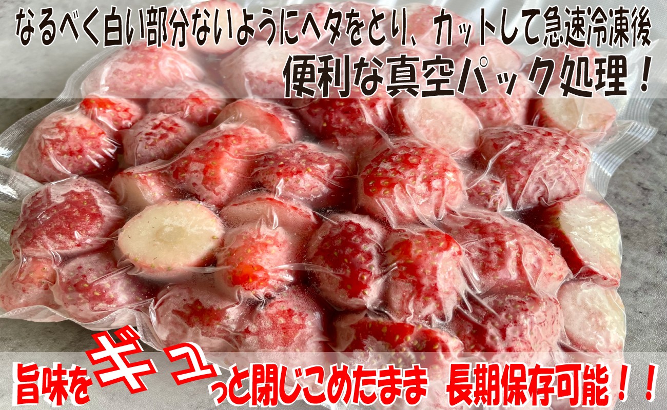 冷凍いちご 約2kg とちおとめ イチゴ 苺 レシピ レシピ付 果物 フルーツ デザート ヨーグルト こだわり シャーベット スムージー ジャム ソース アイス 国産 産地直送 安心安全 くだもの ギフト プレゼント 贈物 お取り寄せ グルメ ショートケーキ ババロア タルト ジュース アイス ジェラート ケーキ 銚子産 ふるさと納税 ふるさと納税苺 ふるさと納税フルーツ 千葉県 銚子市 萩谷園芸