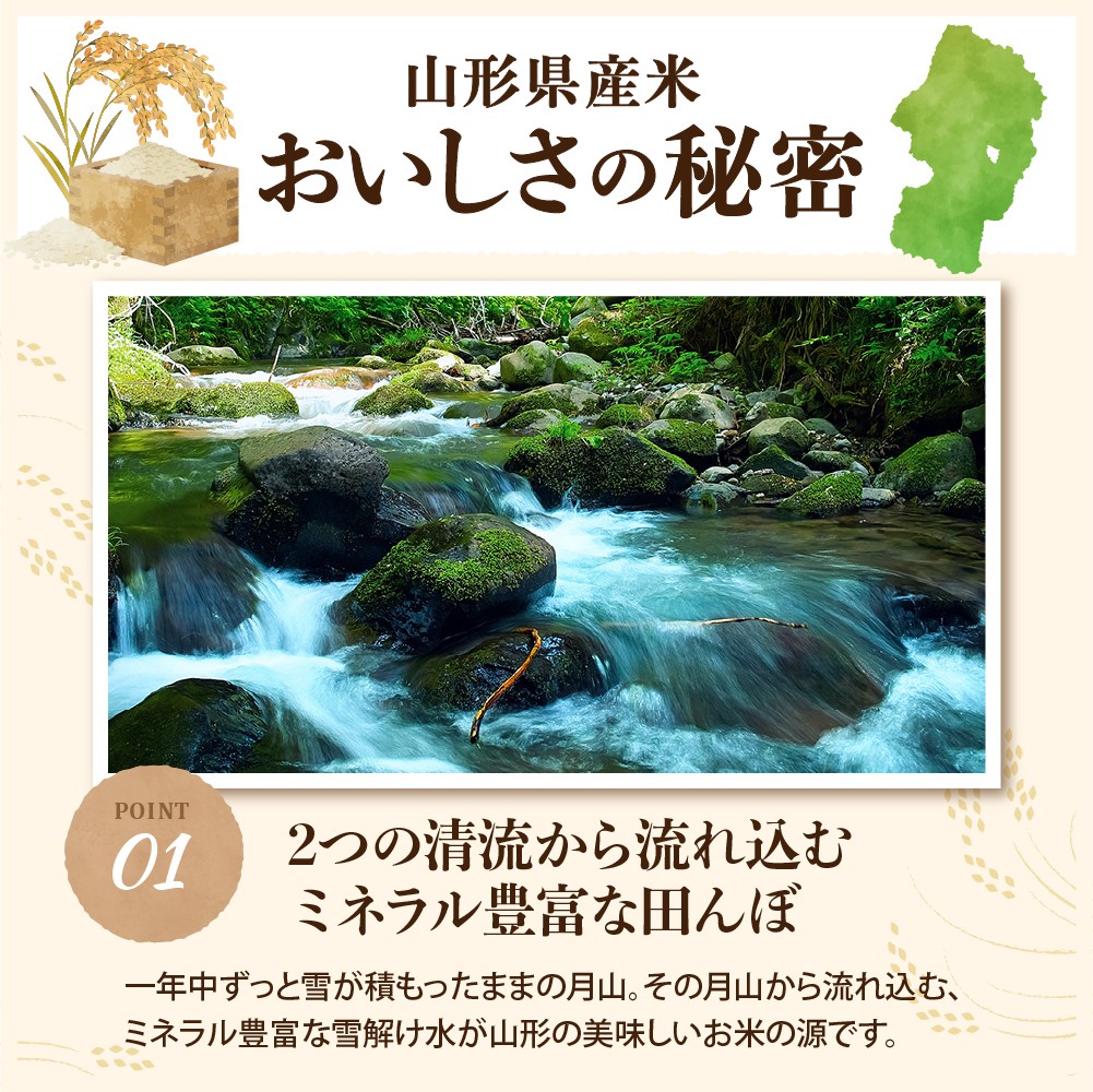 【令和7年産米】2026年6月上旬発送 雪若丸 20kg(5kg×4袋)山形県産 【米COMEかほく協同組合】 ka024-053d-r7-061
