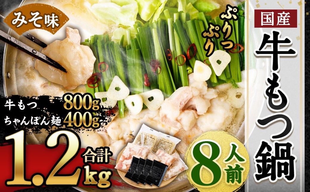 国産 牛もつ鍋 8人前 ちゃんぽん 濃縮スープ付(みそ味)