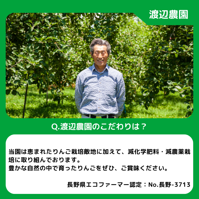 りんご サンふじ 秀 ～ 特秀 5kg 渡辺農園 沖縄県への配送不可 2026年12月上旬頃から2027年1月中旬頃まで順次発送予定 令和8年度収穫分 エコファーマー認定 減農薬栽培 長野県 飯綱町 [0169]