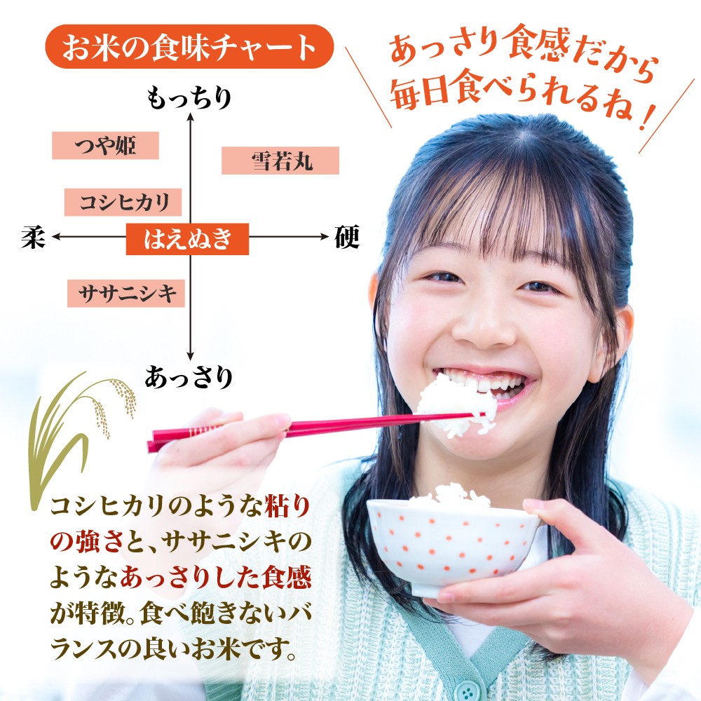 【令和8年産米】2027年6月下旬発送 はえぬき20kg (5kg×4袋)山形県産 【米COMEかほく協同組合】 ka024-046d-r8-063