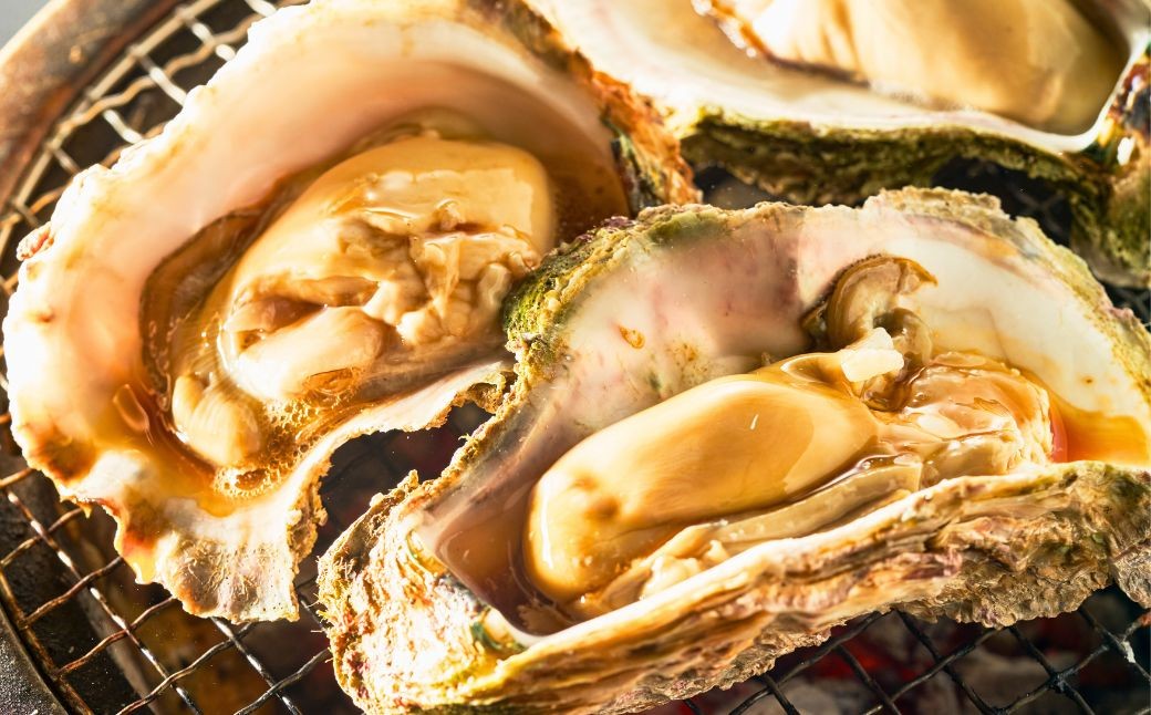 【夏季限定】安宅産 天然 岩がき 小サイズ 3kg (10～15個) | 石川県 小松市 石川県漁業協同組合小松支所 