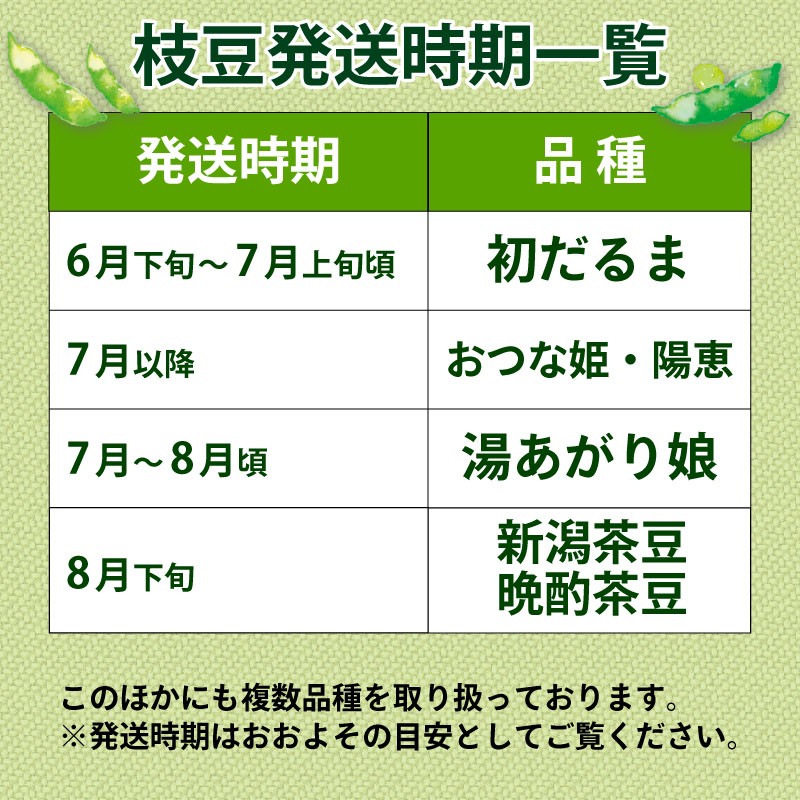 季節の枝豆 1kg 250g 4袋 枝豆 えだまめ まめ 野菜 おつまみ 茶豆 ずんだ ずんだもち 豆 数量限定 季節限定 キャンプ 産地直送 とんとん市場 株式会社せいだ 新潟県 新発田市 seida033