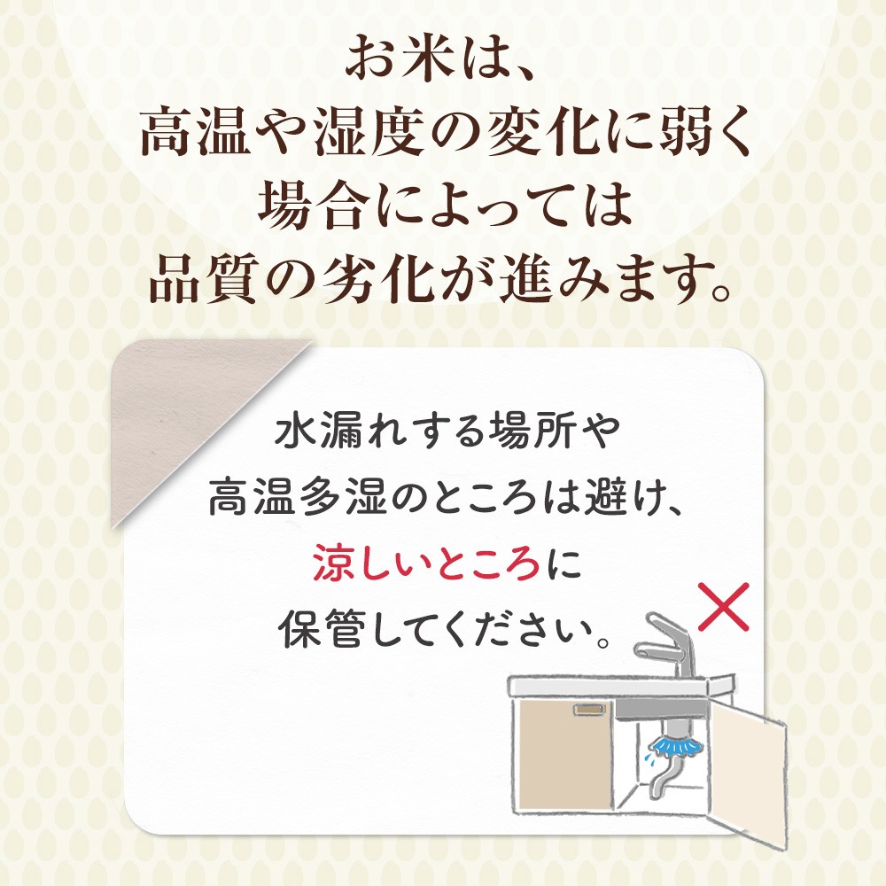 コシヒカリ 10kg(クリーン精米)令和7年産 お米 米 こめ コメ こしひかり コシヒカリ ご飯 ごはん 鳥取県 倉吉市産