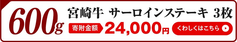 【最速便】宮崎牛 サーロインステーキ 2枚 合計400g_M243-006-2W