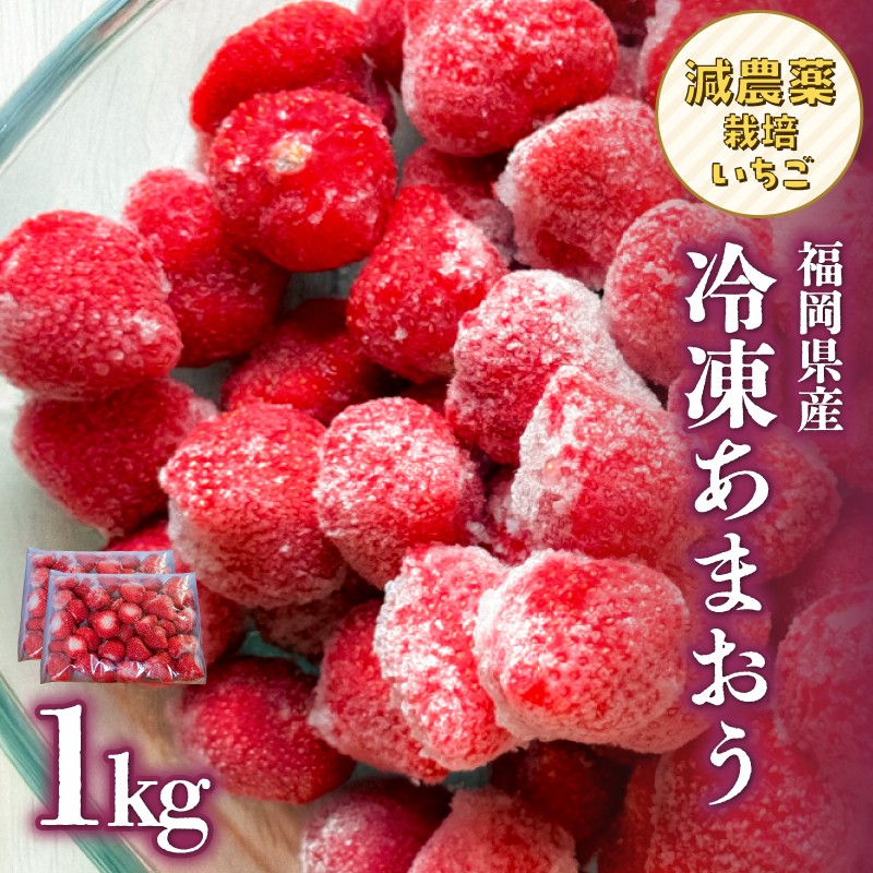 冷凍いちご 500g×2パック【大月いちご園】 あまおう いちご 苺 イチゴ フルーツ くだもの 朝採り 冷凍 アレンジ 小分け 食べきり 福岡県 八女市