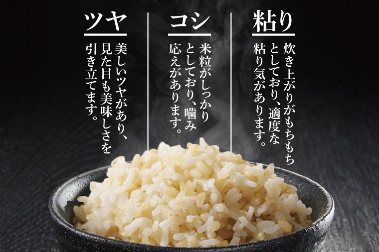 令和7年産 茨城県特別栽培認証 清明川コシヒカリ玄米 5㎏×2袋【米 おこめ こしひかり 特別栽培米 農家直送 直送 茨城県 阿見町】(04-20-1)