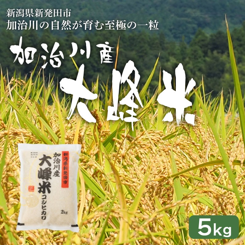 【大峰米コシヒカリ】 令和7年産 新潟県産 コシヒカリ 5kg 新潟県 新発田市 加治川産 新発田産 新潟 ふるさと納税 精米 米 お米 大峰米 白米 米 お米 こめ コメ ライス ご飯 ごはん 美味しい 贈り物 国産 新潟県 新発田市 お取り寄せ 令和7年産米 産地直送 GAP認証 JGAP アグリ加治川 agk008