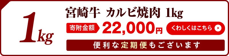 【最速便】宮崎牛 カルビ焼肉 500g_M243-004-2W