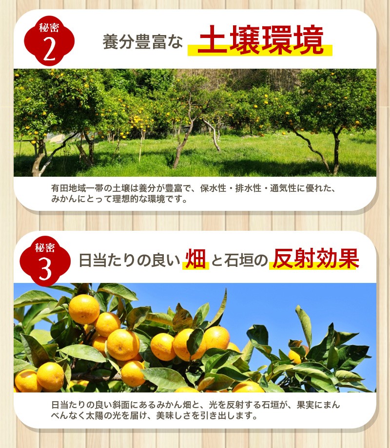 【2026年10月発送予約】 ご家庭用 こだわりの有田みかん 約6kg+150g(傷み補償分) 【 光センサー選別 農家直送 / みかん ミカン 有田みかん 温州みかん 柑橘 フルーツ 果物 くだもの 旬 人気 みかん先行予約 家庭用 和歌山【nuk102-10】