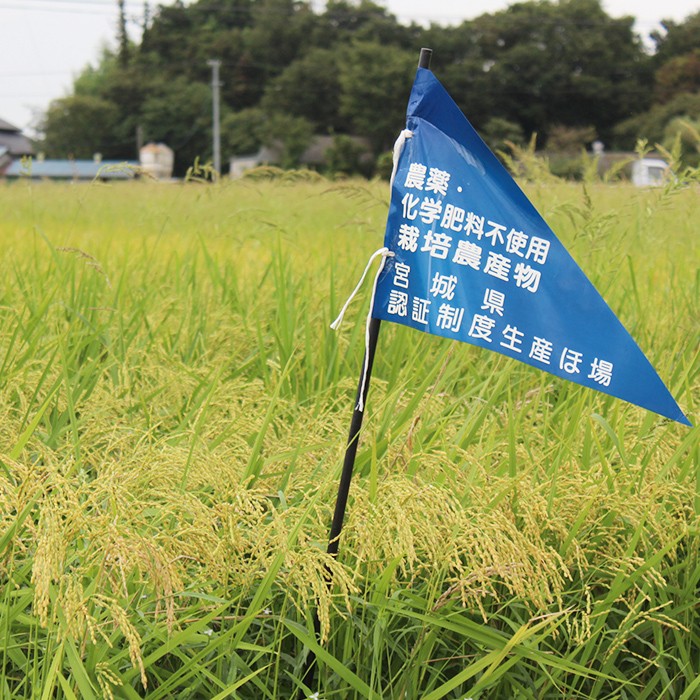 <有機JAS>ササニシキ 精米 5kg(5kg×1袋) 朱鷺みらい 精米 有機栽培 登米市産 お米 おこめ 米 コメ 白米 ご飯 ごはん おにぎり お弁当 ささにしき 【オーガニックとめネットワーク】tm594