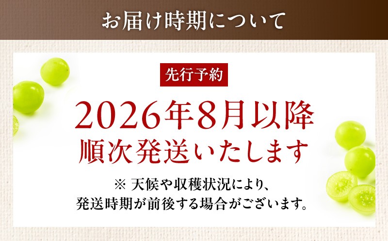 【2026年先行予約】【桜島産】シャインマスカット 2房 K261-001_02