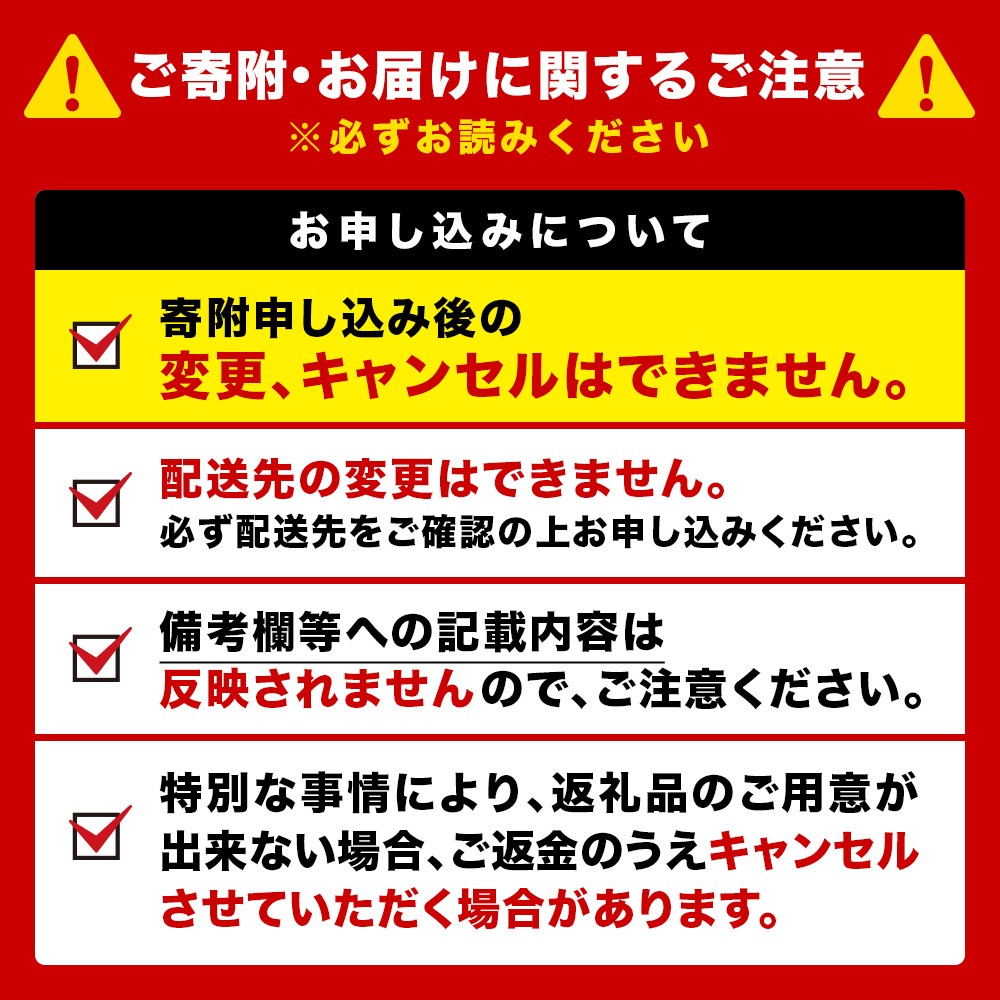 【定期便3ヶ月】キリン一番搾り生ビール 500ml（24本）＜北海道千歳工場産＞