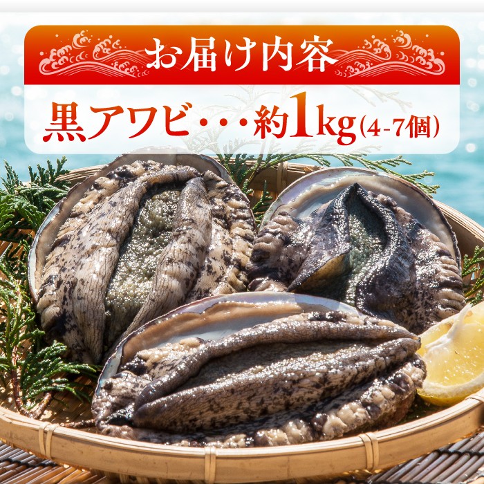 活アワビ 約1kg（4-7枚）（黒アワビ）《壱岐市》【丸和水産】[JCJ006] 鮑 アワビ あわび 黒鮑 黒アワビ 黒あわび 貝 魚貝 海鮮 刺身 刺し身 お刺身 BBQ 50000 50000円 
