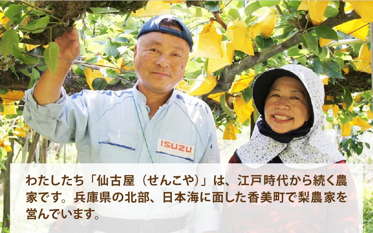 兵庫県香美町産梨を100%使用!香住梨ジェラート 4個 / 香住梨 香美町 梨 和三盆 兵庫 国産 二十世紀梨 仙古屋 日本海 潮風 ご当地 ふるさと納税 冷凍 果物 ジェラート