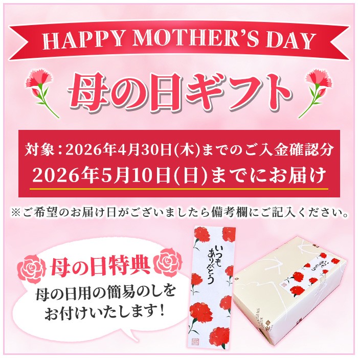 ＼令和8年 母の日／濃厚で芳醇！ふんわりかるーい♪チョコレートケーキ＜半生ちょこ 20個（10個×2箱）＞1口サイズ チョコレートケーキ 冷凍 個包装 チョコレートケーキ 2026【MDA-005H】