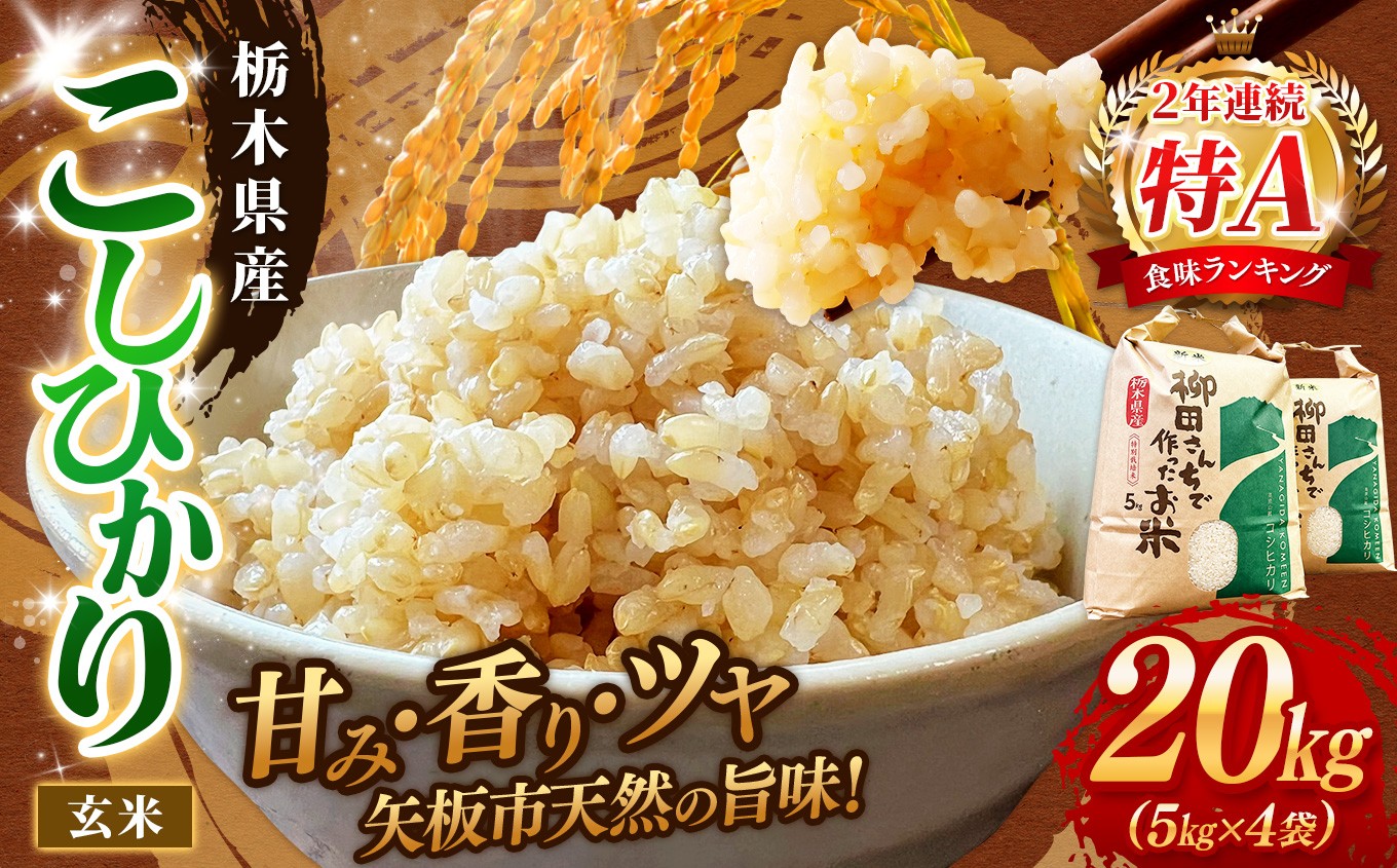 矢板市特別栽培米 こしひかり 玄米 5kg×4P | お米 米 こめ 白米 玄米 にじのきらめき コシヒカリ こしひかり 美味しい お弁当 選べる エコ スマート 環境 手間暇 土づくり  ふるさと 納税 栃木県 矢板市