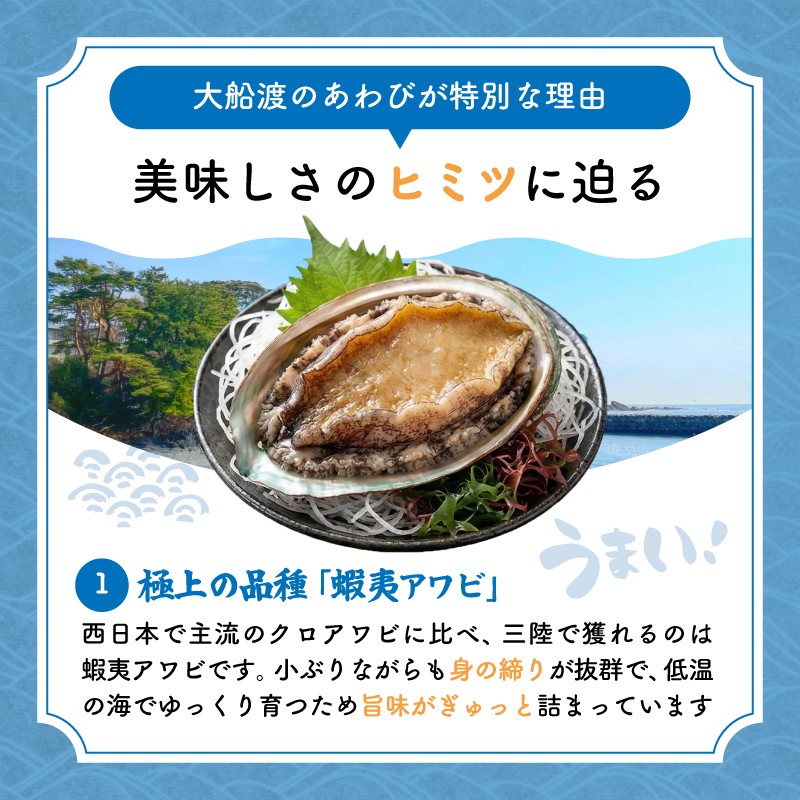 【スピード発送】 あわび 10個 約1.1kg 冷蔵 鮑 あわび アワビ 蝦夷あわび 活あわび Abalone ステーキ バターソテー 刺し身 刺身 おせち バーベキュー BBQ ごはん おつまみ 晩酌 米 丼 海産物 海鮮 魚介 魚介類 贈答品 正月 お正月 お中元 お歳暮 大船渡 三陸 岩手県 国産 すぐ 届く スピード 配送