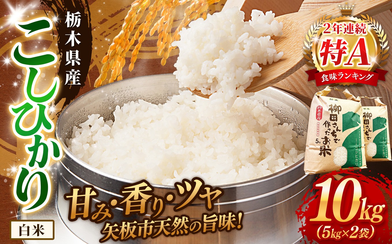 矢板市特別栽培米 こしひかり 白米 5kg×2P | お米 米 こめ 白米 玄米 にじのきらめき コシヒカリ こしひかり 美味しい お弁当 選べる エコ スマート 環境 手間暇 土づくり ふるさと 納税 栃木県 矢板市