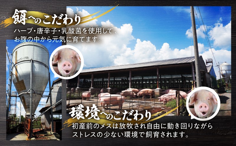 鹿屋産豚肉 バラスライス 1.4kg【6月お届け】 KN079-004-6