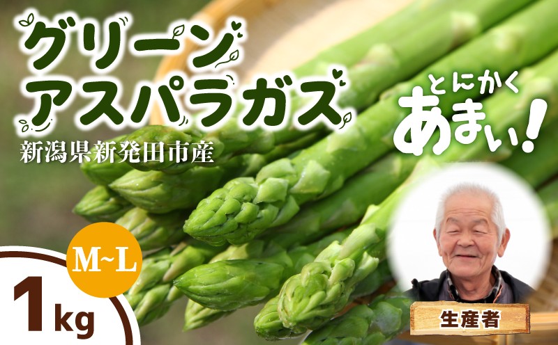 【とにかく甘い！】 グリーンアスパラガス LLサイズ 1kg アスパラ 甘い 太い 柔らかい 新潟 新発田 朝採り 新鮮 野菜 アスパラガス グリーンタワー 春野菜 特産品 旬 肉 巻き 朝採れ 産地直送 農家 菅谷 新潟県 新発田市 蔵光グリーンファーム kuramitsu003