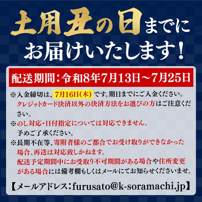 C57004 《土用の丑の日までに発送！》特大うなぎ蒲焼(有頭)(5尾・計925g以上、タレ、山椒付) 鹿児島 国産 大隅産 九州産 鰻 うなぎ ウナギ 蒲焼き うな丼 うな重 ひつまぶし 土用の丑の日 丑の日発送 スタミナ 冷凍 真空パック お土産 化粧箱 贈答 ギフト プレゼント 【一般社団法人きもつき宇宙協議会】