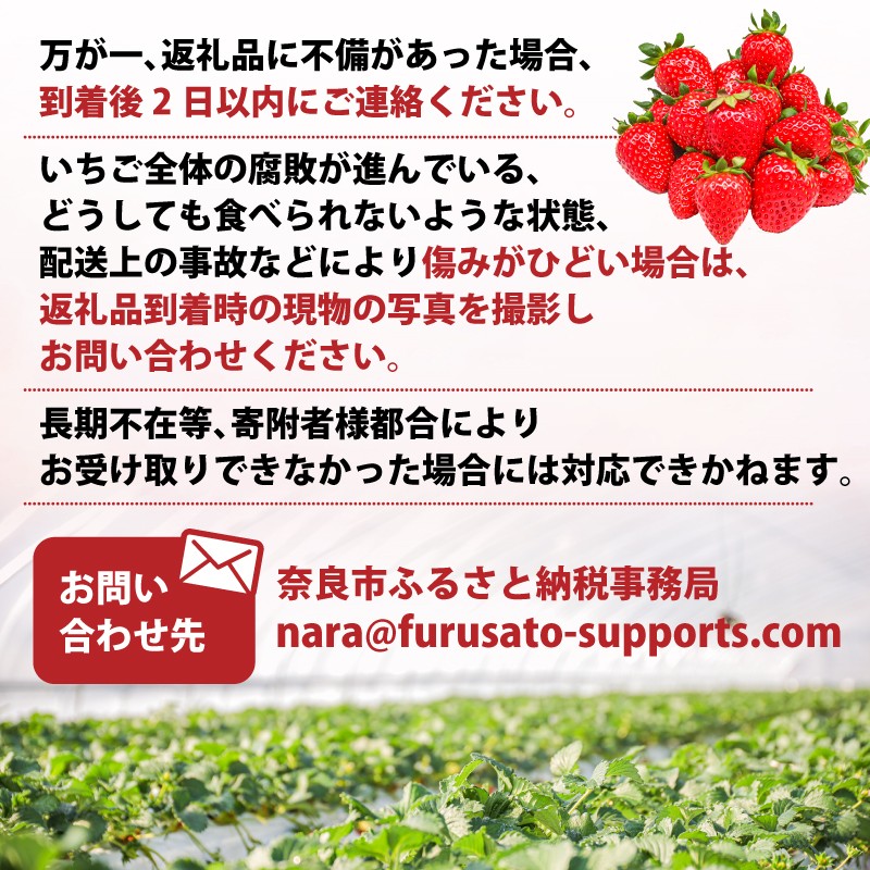 【数量限定】 いちご 古都華 約520g 260g×2パック 1パック6~11粒 イチゴ 苺 フルーツ 果物 月 旬 産地 農場 直送 フレッシュ スイーツ スムージー ケーキ 国産 ベリー 贈答用 プレゼント 人気 ふるさと納税 ふるさと おすすめ 限定 奈良県 奈良市 なら ファーム和だや