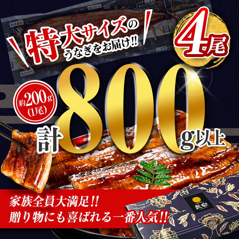＜丑の日までにお届け＞特大 うなぎ 鰻楽 国産 蒲焼 4尾 計800g以上 無頭 高評価 おすすめ 冷凍 簡単調理 個包装 鰻 魚介 贈答品 ギフト 贈り物【C388-800-ushi】