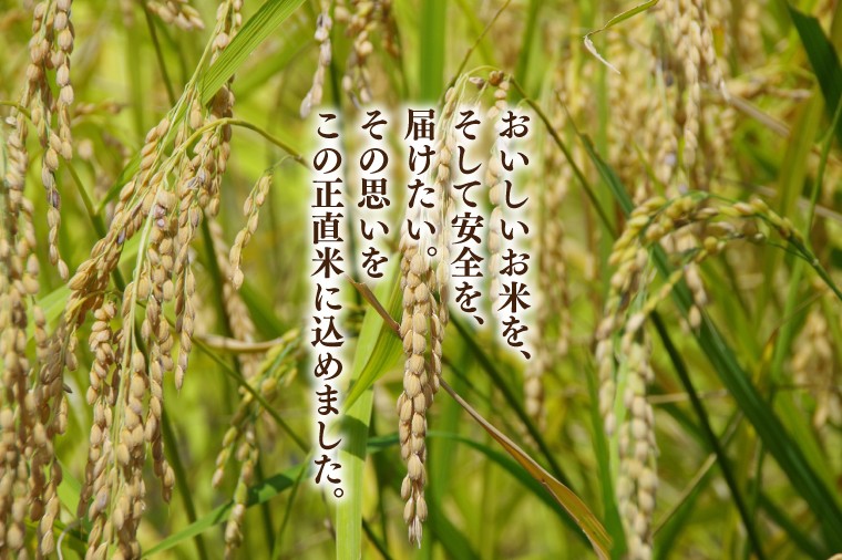 【定期便特別価格】【6ヶ月定期便】★五つ星マイスター★【令和7年産】正直米（特秀）5kg　特別栽培米 【 米 お米 精米 こしひかり コシヒカリ コンテスト 受賞  特別米  5㎏ 定期便 6ヶ月】(BC017)