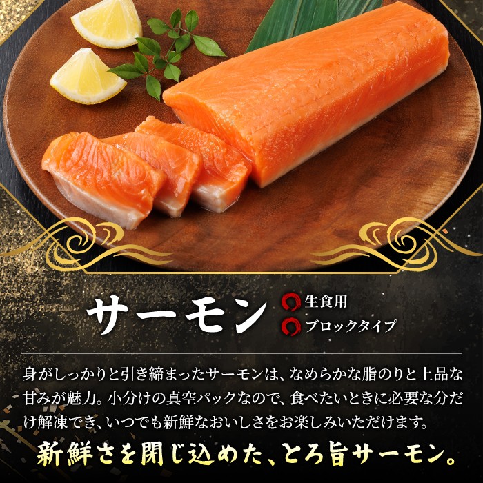 生食用 サーモン ブロック(計500g・250g×2P) 鮭 小分け 真空 パック 冷凍 刺身 シャケ サケ 魚 魚介 【AW-98】【丸正水産】