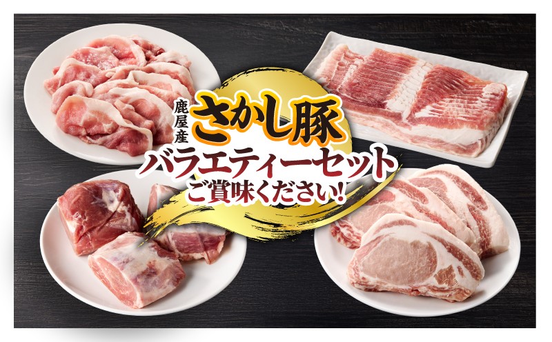 鹿屋産 豚肉 バラエティーセット【8月お届け】　KN079-003-8