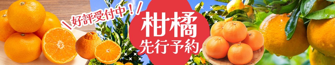 【数量限定】みなと農園の温州みかん 早生 約5kg 2S～Lサイズ混合 【2026年12月上旬頃〜順次発送】 みかん ミカン 蜜柑 温州みかん 温州ミカン 柑橘 フルーツ 果物 くだもの 甘い 旬 人気 産地直送 三重県 熊野市【mntf0009】