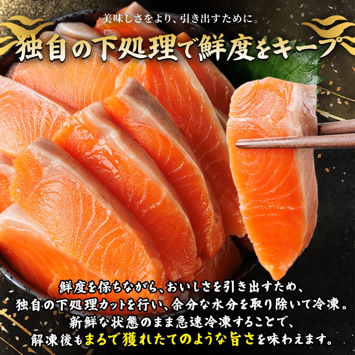 生食用 サーモン ブロック(250g×1P) 鮭 小分け 真空 パック 冷凍 刺身 シャケ サケ 魚 魚介 【AW-97】【丸正水産】