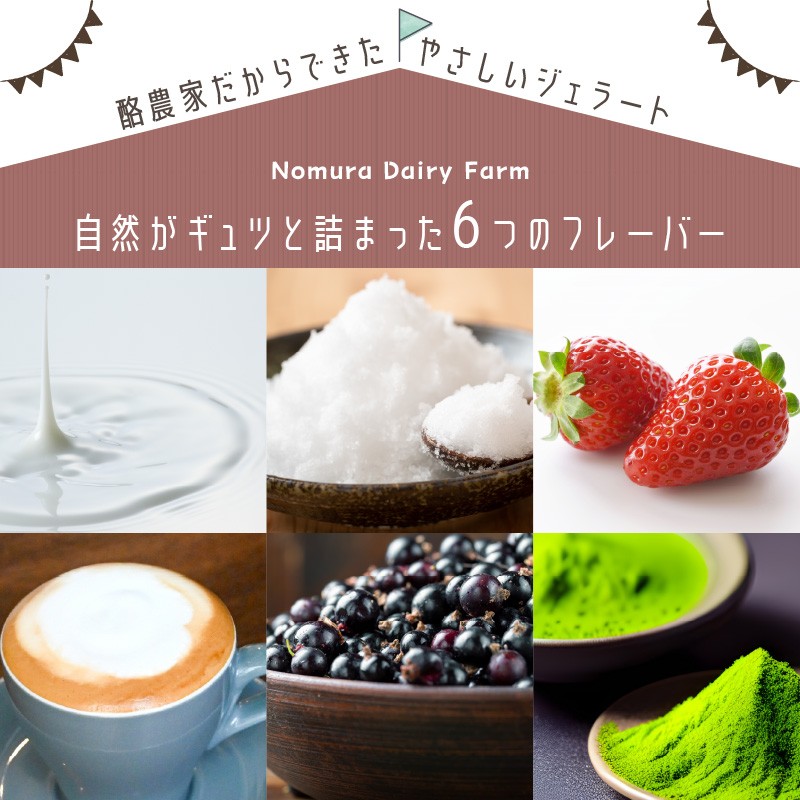 野村牧場ジェラート6個セット　 牧場直送 野村牧場 ジェラート アイス セット カップ バニラ 琴引の塩 いちご カフェラテ カシス 抹茶 デザート 氷菓子 ふるさと納税 スイーツ 搾りたて 牛乳 ミルク 搾りたてミルク 濃厚 ギフト プレゼント お祝い 送料無料　NM00008