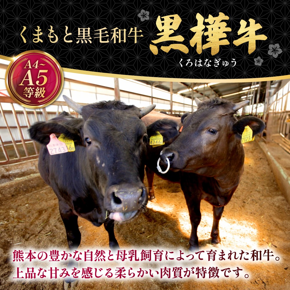 くまもと黒毛和牛 黒樺牛 A4～A5等級 ローススライス すき焼き用 約250g（約250g×1P）/ 熊本 黒毛和牛 すき焼き 牛肉 A5ランク A4ランク 肉 国産牛 ロース スライス 【株式会社杉本本店】[AYBJ002]