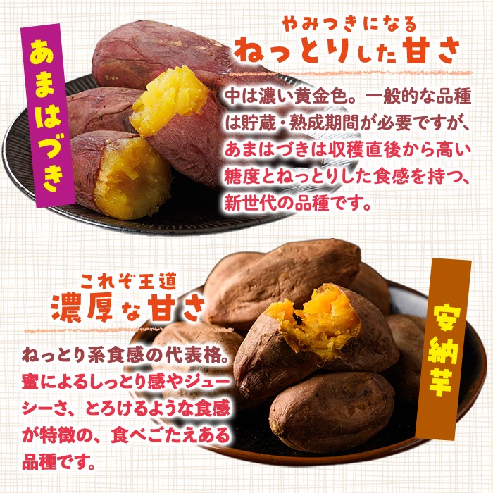 ＜先行予約受付中！2026年10月から順次発送予定＞おやつ芋 あまはづき 安納芋 冷凍 焼き芋 (計30個・3個入り×各5袋) 焼芋 やきいも さつまいも さつま芋 レンジ あまはづき 安納芋 小分け おやつ 【YO-28】【株式会社陽】
